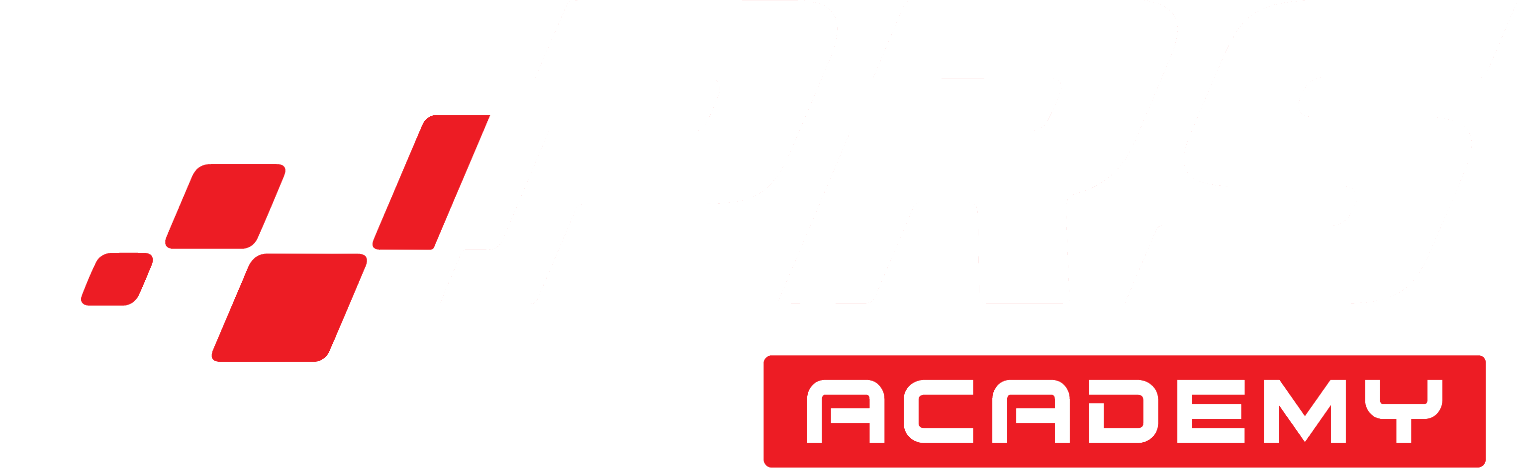 Pro Racing Team