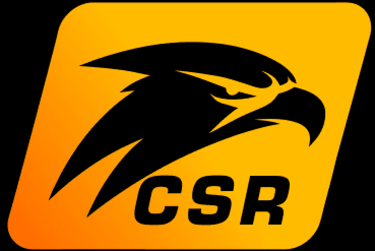 Carcará SimRacing