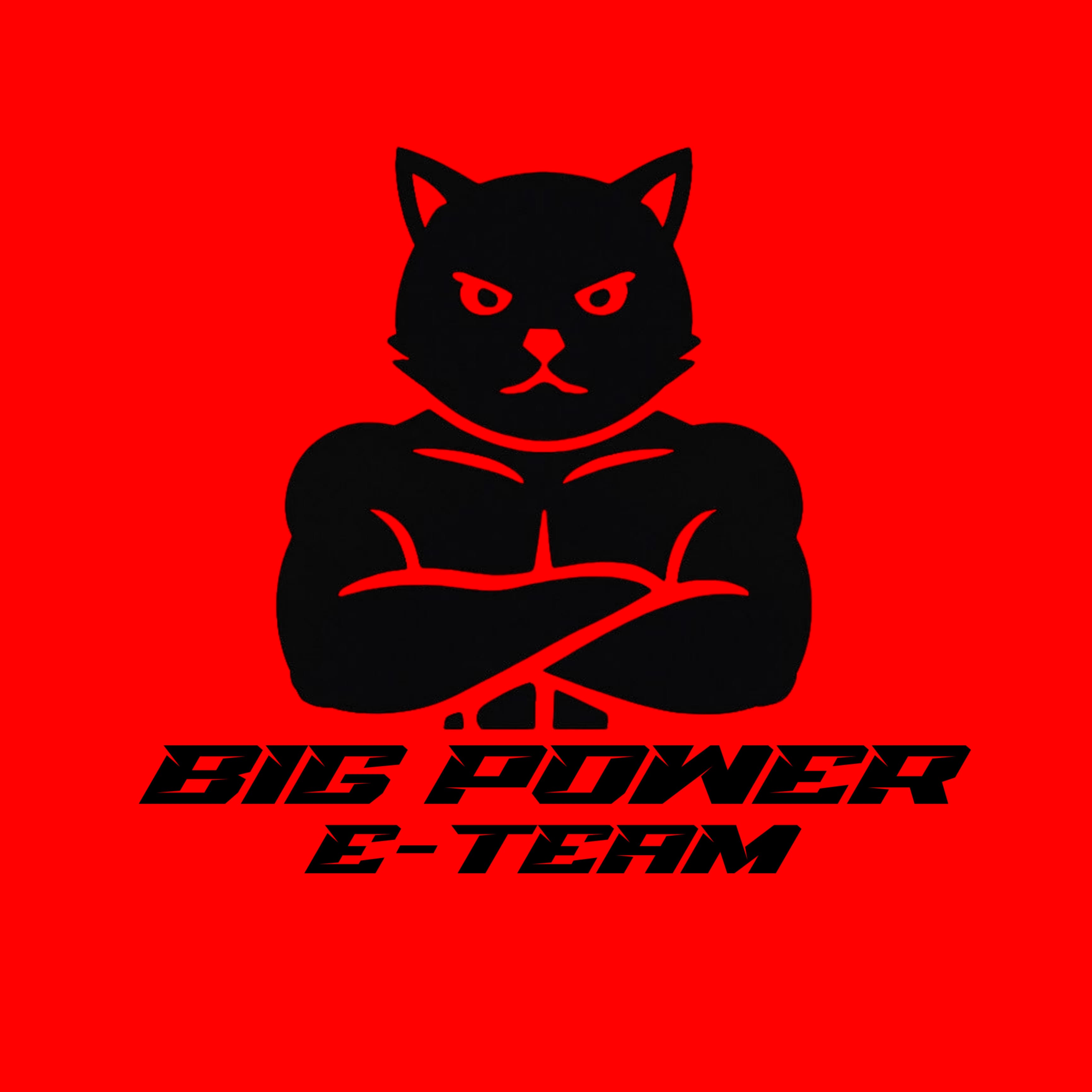 Big Power e-Team