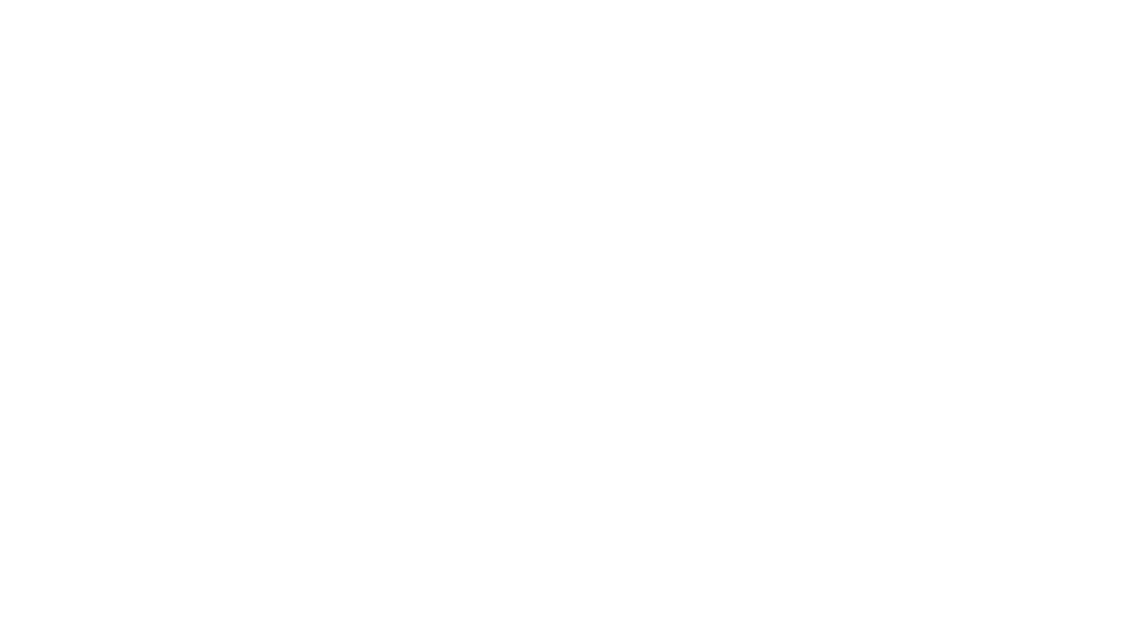 Alpha Race Team