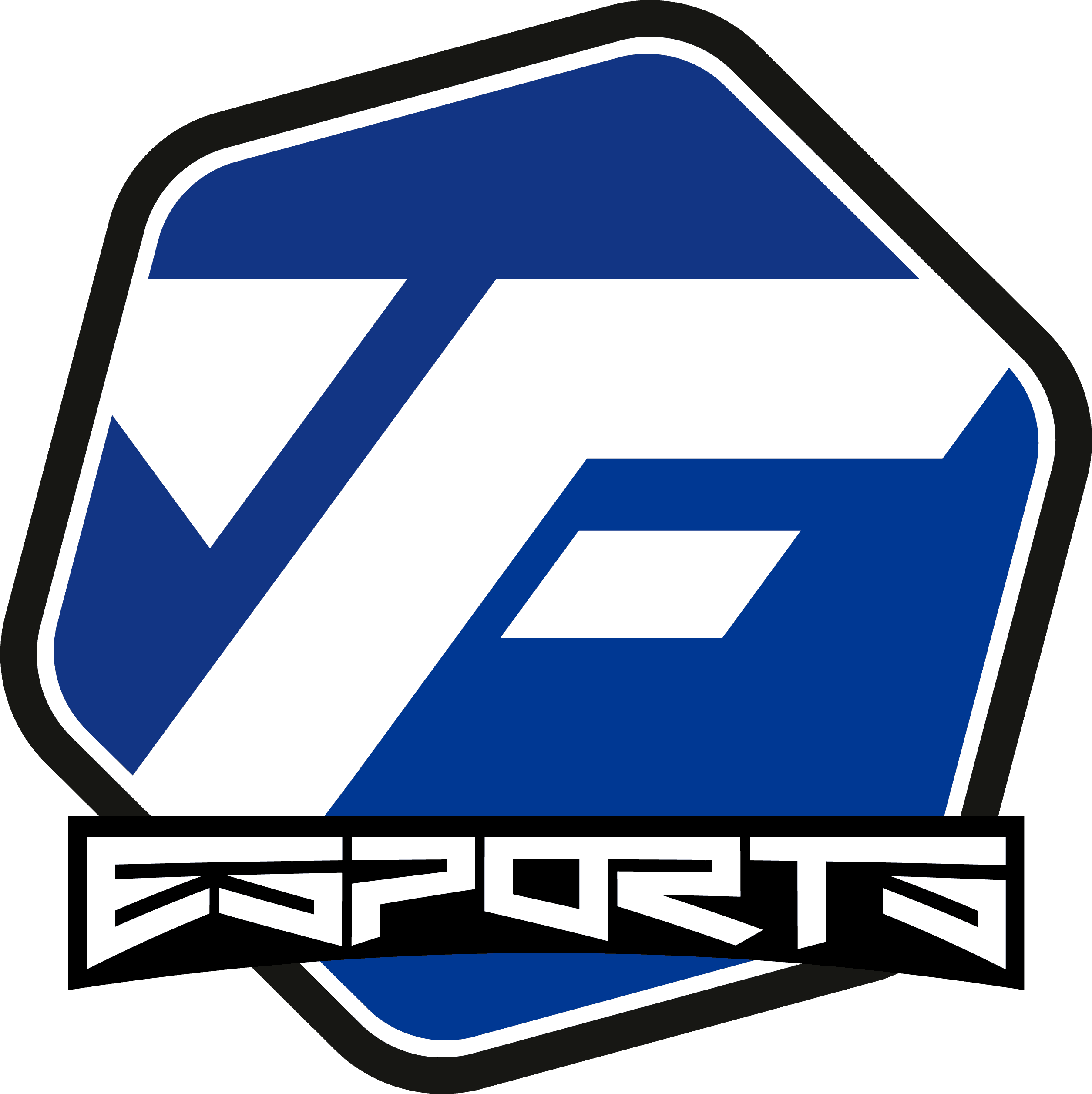 Fly Esports